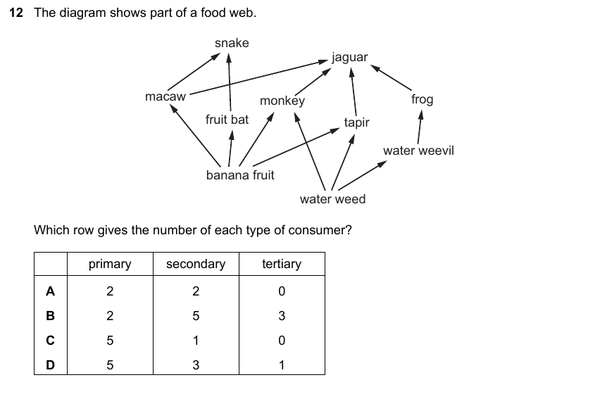 IGCSE 0653 May/Jun 2023 Paper 22 Q12 — Gas Exchange & Respiration