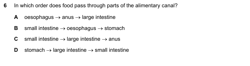 IGCSE 0653 May/Jun 2023 Paper 22 Q6 — Transport in Animals