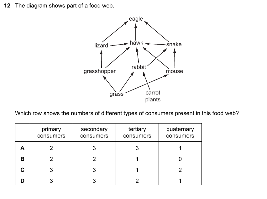 IGCSE 0653 May/Jun 2023 Paper 23 Q12 — Gas Exchange & Respiration