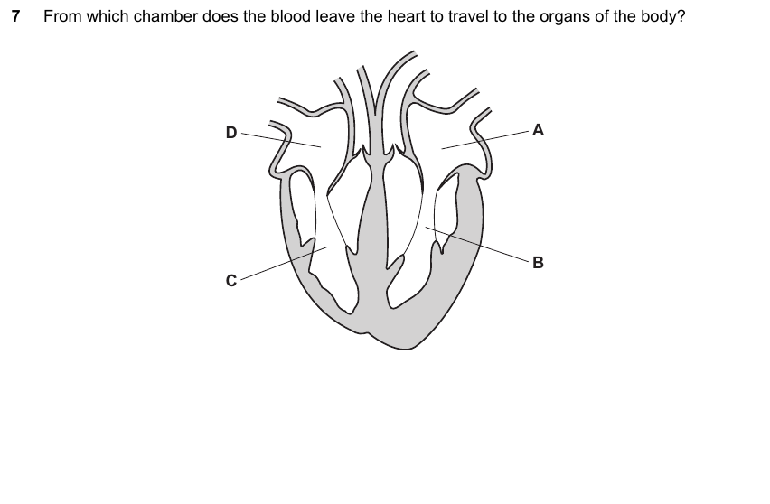 IGCSE 0653 May/Jun 2023 Paper 23 Q7 — Reproduction