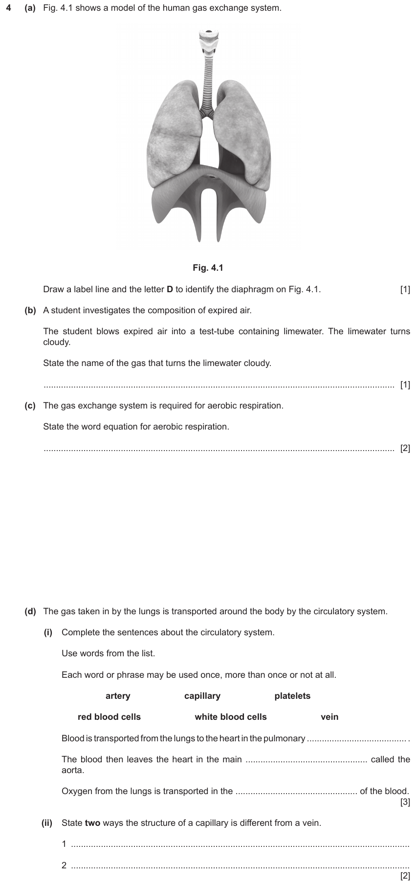 IGCSE 0653 May/Jun 2023 Paper 31 Q4 — Gas Exchange & Respiration