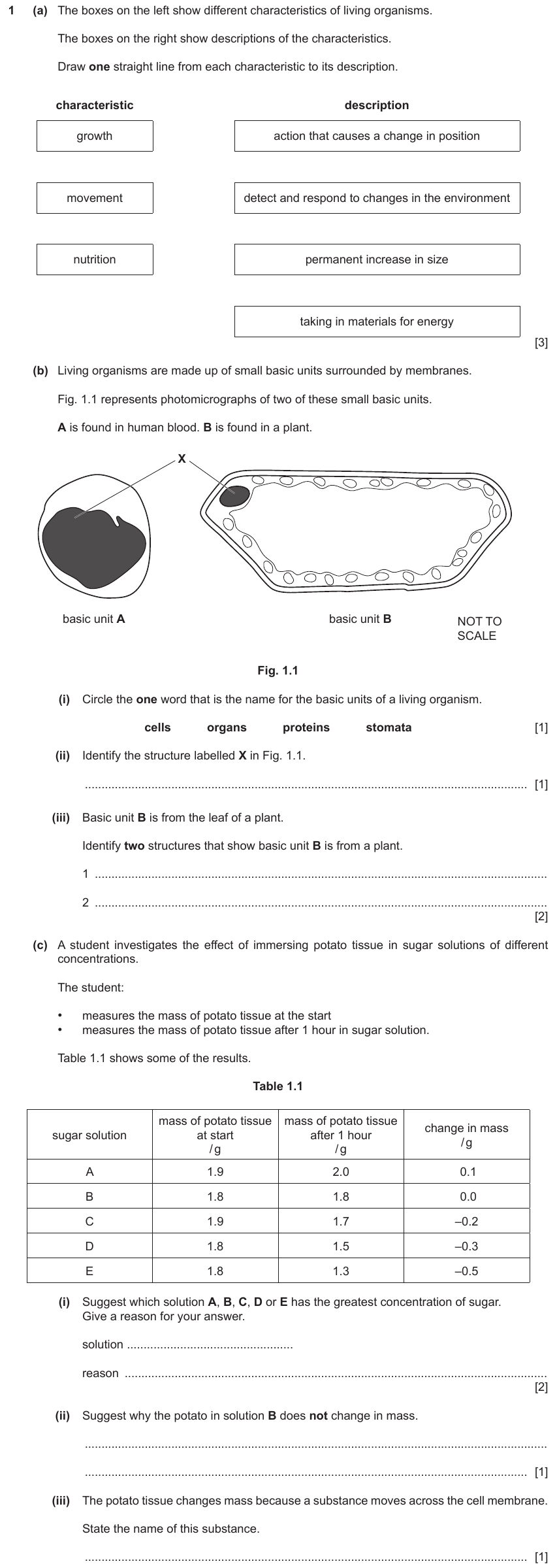 IGCSE 0653 May/Jun 2023 Paper 33 Q1 — Transport in Plants