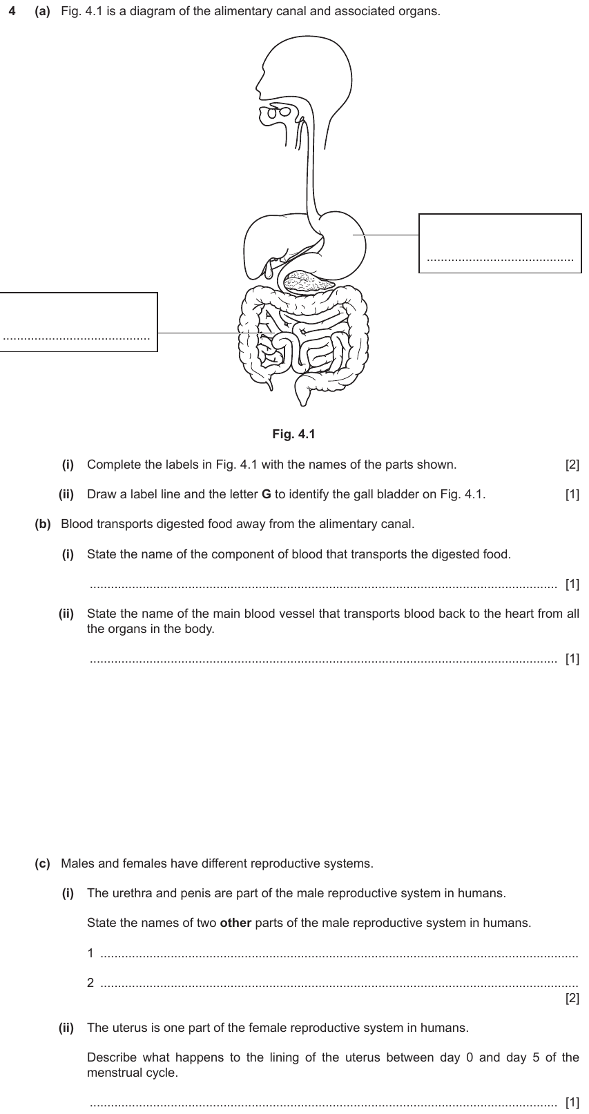 IGCSE 0653 May/Jun 2023 Paper 33 Q4 — Human Nutrition