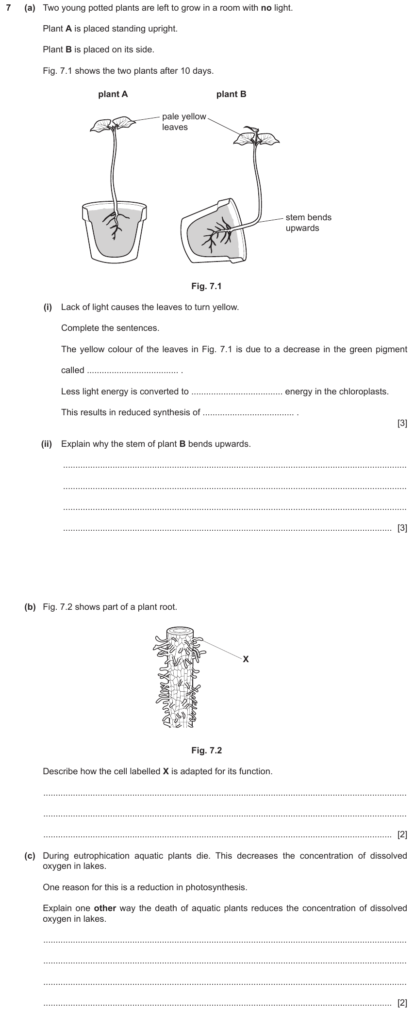 IGCSE 0653 May/Jun 2023 Paper 41 Q7 — Plant Nutrition
