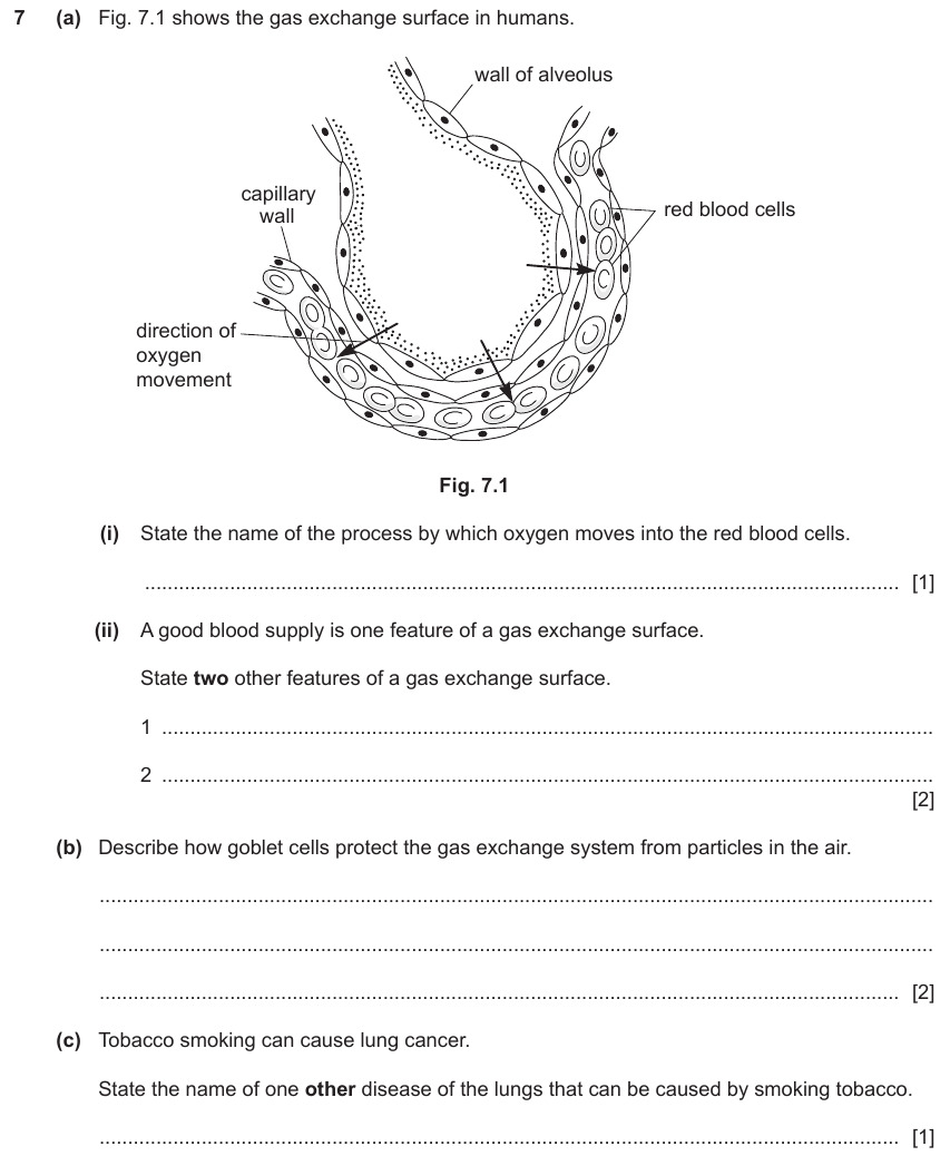 IGCSE 0653 May/Jun 2023 Paper 42 Q7 — Movement in/out of Cells