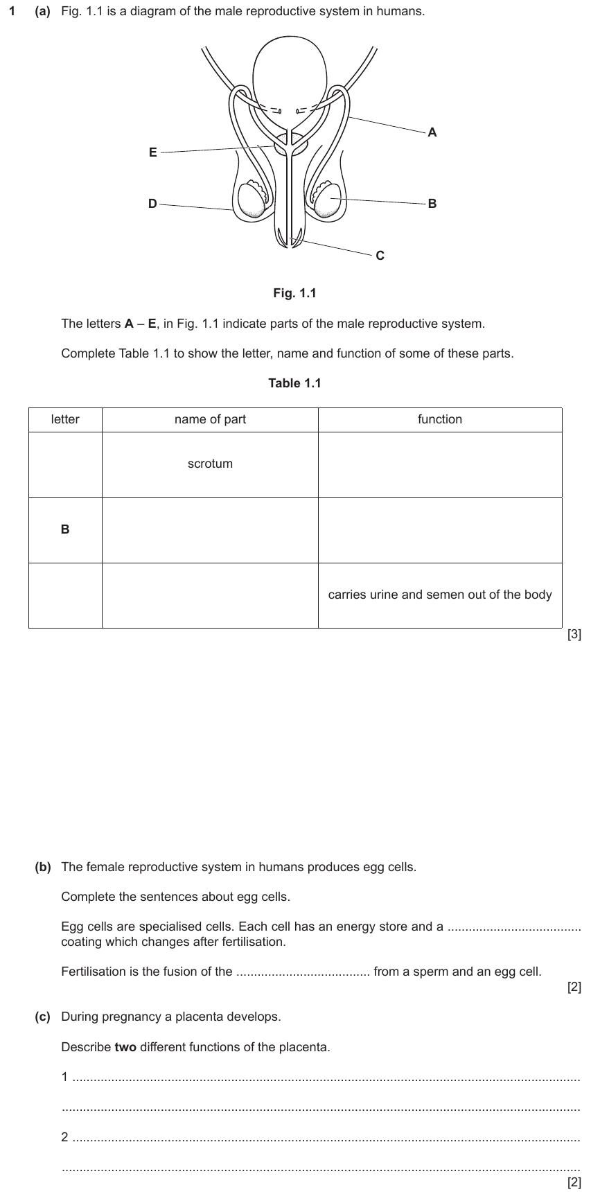 IGCSE 0653 May/Jun 2023 Paper 43 Q1 — Reproduction