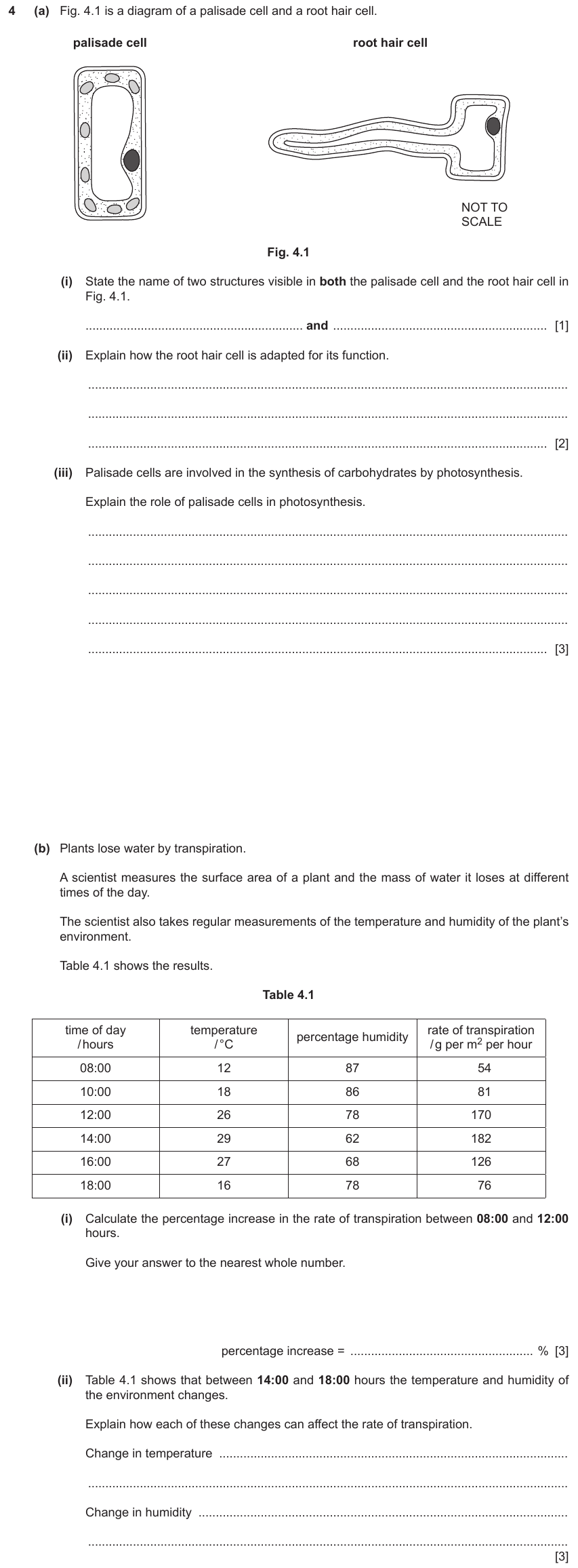 IGCSE 0653 May/Jun 2023 Paper 43 Q4 — Transport in Plants