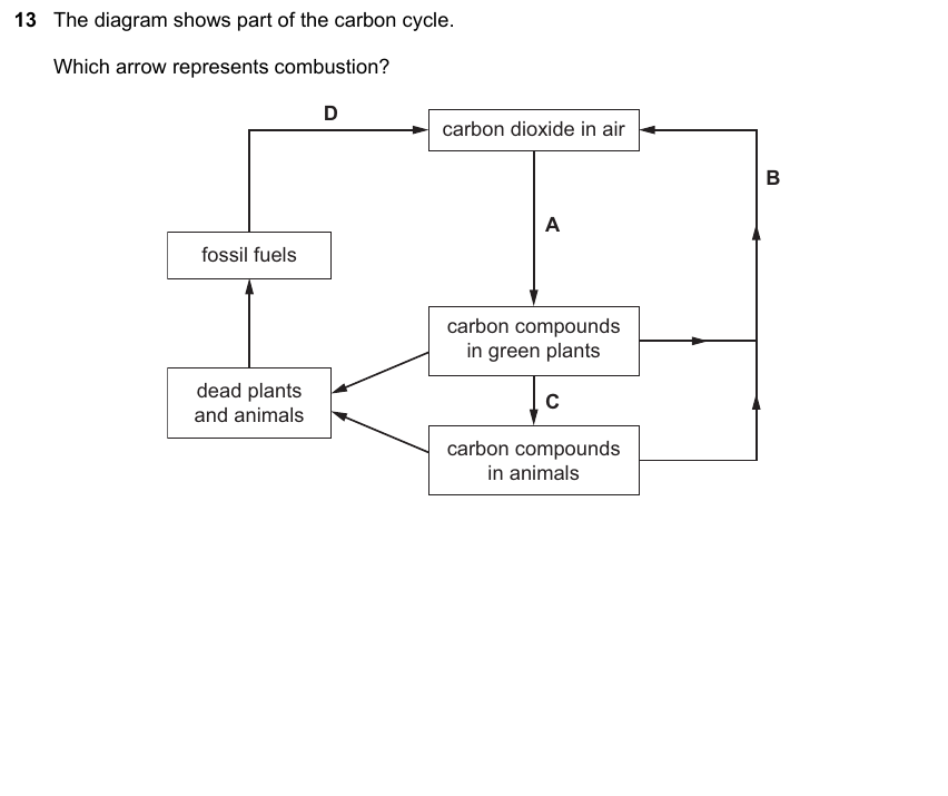 IGCSE 0653 May/Jun 2024 Paper 11 Q13 — Variation & Selection