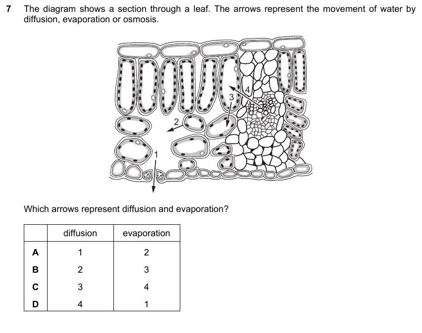 IGCSE 0653 May/Jun 2024 Paper 11 Q7 — Movement in/out of Cells