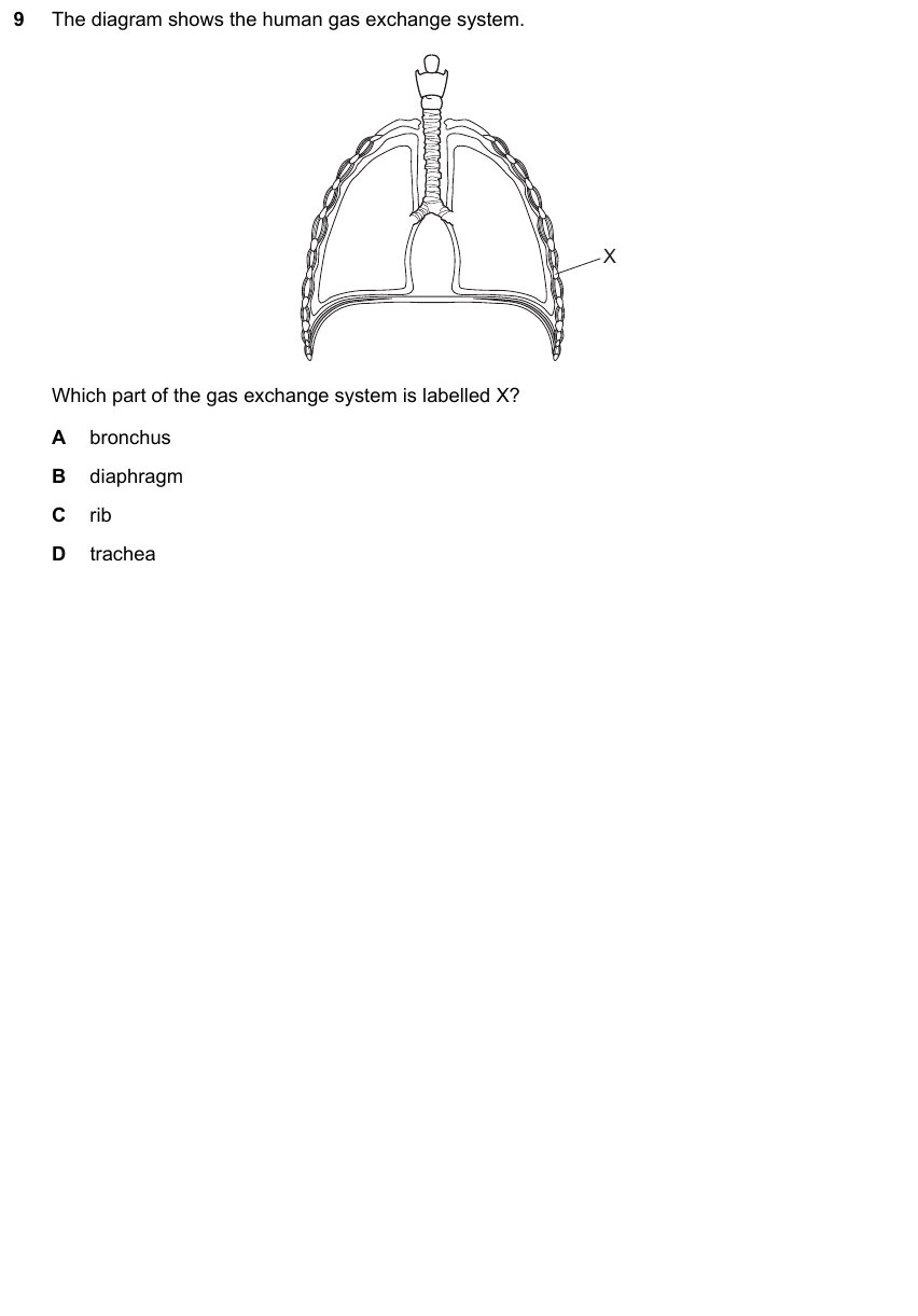 IGCSE 0653 May/Jun 2024 Paper 11 Q9 — Reproduction