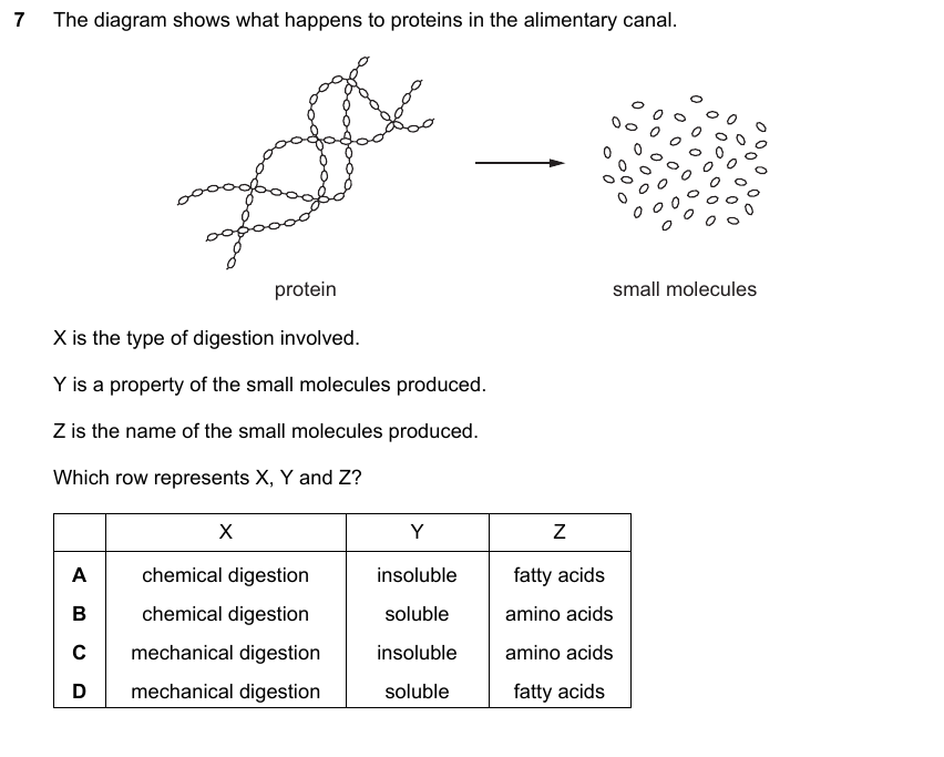 IGCSE 0653 May/Jun 2024 Paper 12 Q7 — Gas Exchange & Respiration