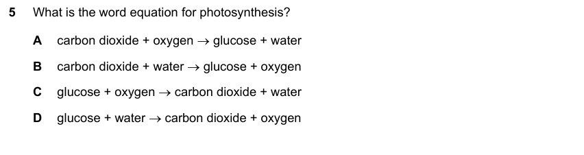 IGCSE 0653 May/Jun 2024 Paper 13 Q5 — Gas Exchange & Respiration