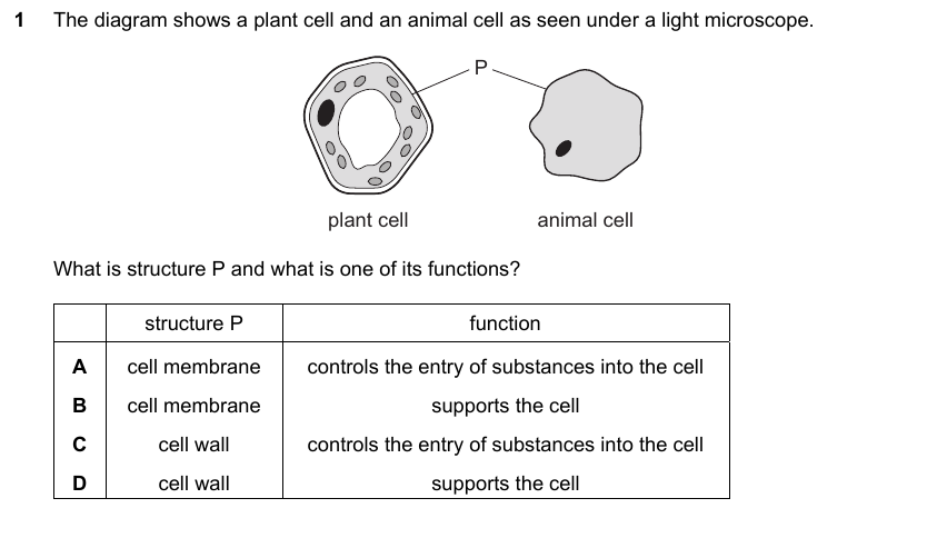 IGCSE 0653 May/Jun 2024 Paper 21 Q1 — Transport in Animals