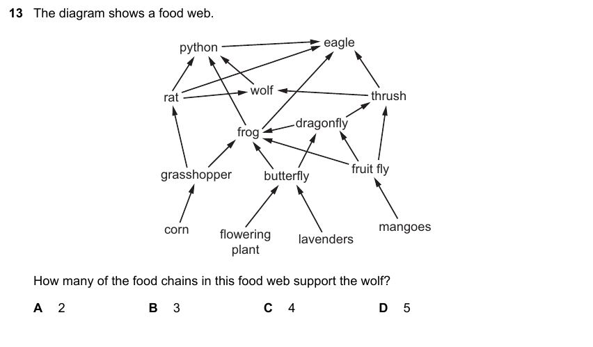 IGCSE 0653 May/Jun 2024 Paper 21 Q13 — Organisms & Environment