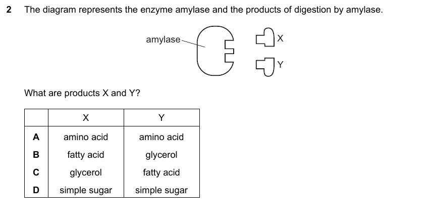 IGCSE 0653 May/Jun 2024 Paper 21 Q2 — Transport in Animals