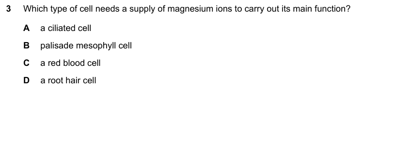 IGCSE 0653 May/Jun 2024 Paper 21 Q3 — Gas Exchange & Respiration