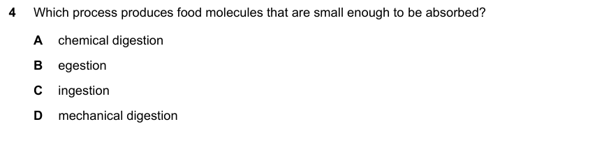 IGCSE 0653 May/Jun 2024 Paper 21 Q4 — Gas Exchange & Respiration