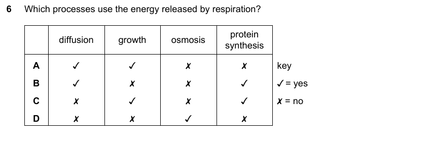 IGCSE 0653 May/Jun 2024 Paper 21 Q6 — Gas Exchange & Respiration