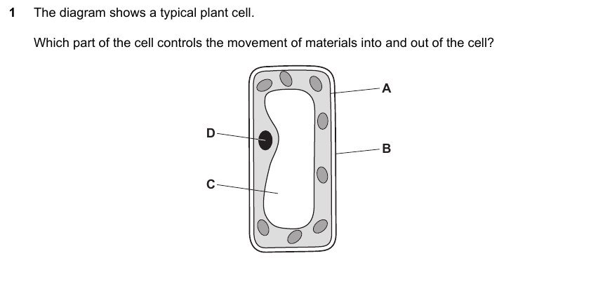 IGCSE 0653 May/Jun 2024 Paper 22 Q1 — Plant Nutrition