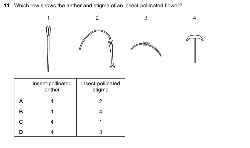 IGCSE 0653 May/Jun 2024 Paper 22 Q11 — Variation & Selection