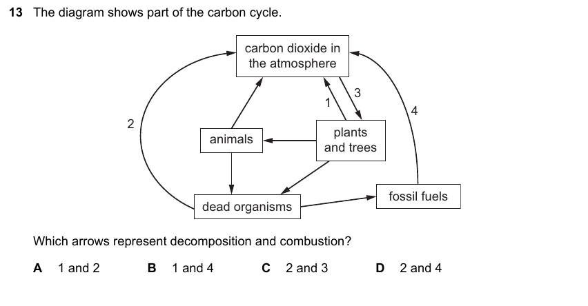 IGCSE 0653 May/Jun 2024 Paper 22 Q13 — Variation & Selection