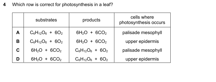 IGCSE 0653 May/Jun 2024 Paper 22 Q4 — Gas Exchange & Respiration