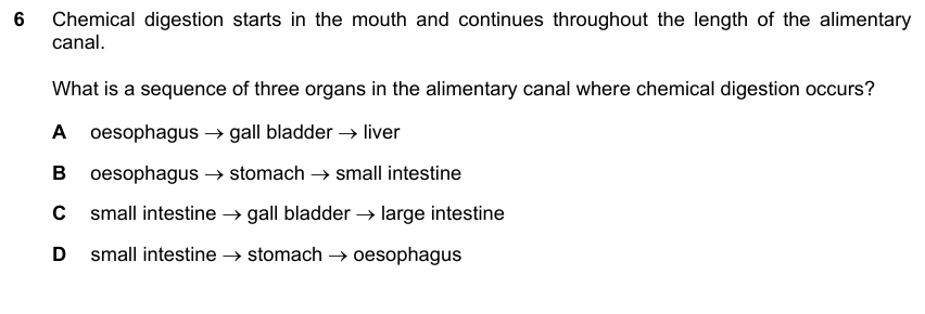 IGCSE 0653 May/Jun 2024 Paper 22 Q6 — Gas Exchange & Respiration