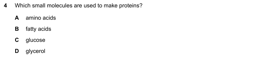 IGCSE 0653 May/Jun 2024 Paper 23 Q4 — Gas Exchange & Respiration
