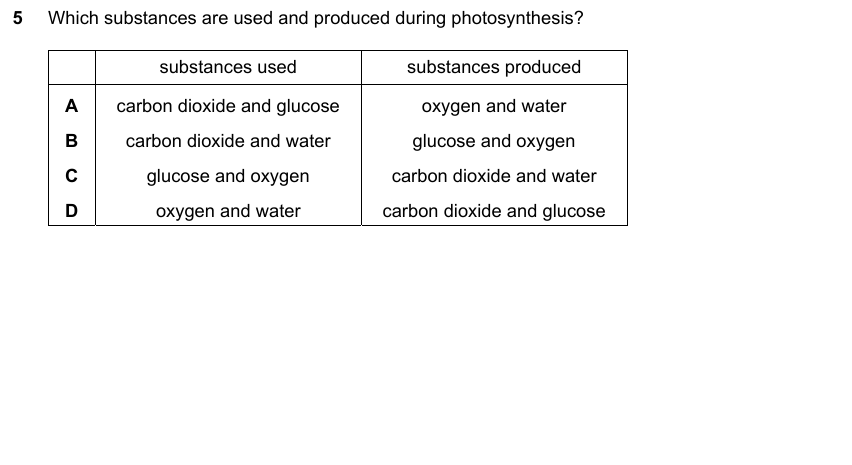 IGCSE 0653 May/Jun 2024 Paper 23 Q5 — Gas Exchange & Respiration