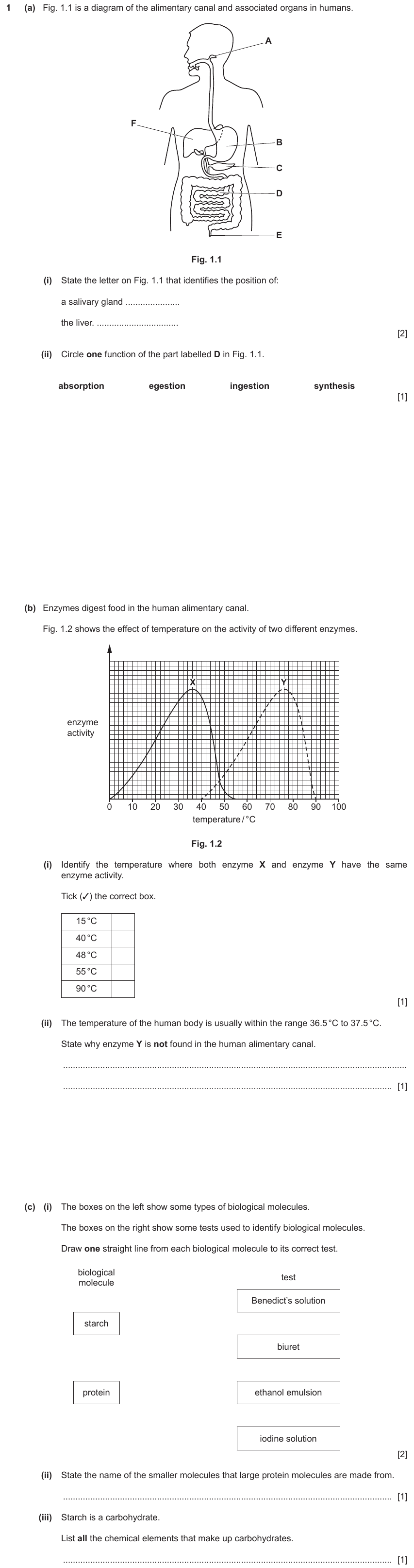 IGCSE 0653 May/Jun 2024 Paper 31 Q1 — Human Nutrition
