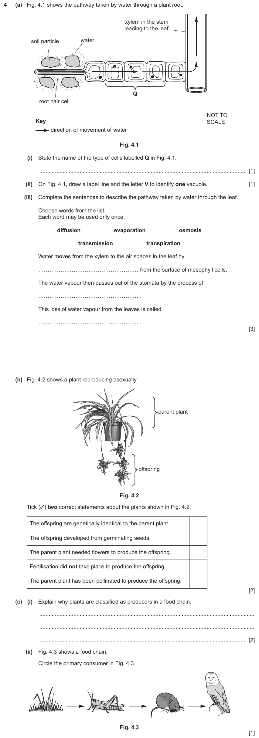 IGCSE 0653 May/Jun 2024 Paper 31 Q4 — Reproduction