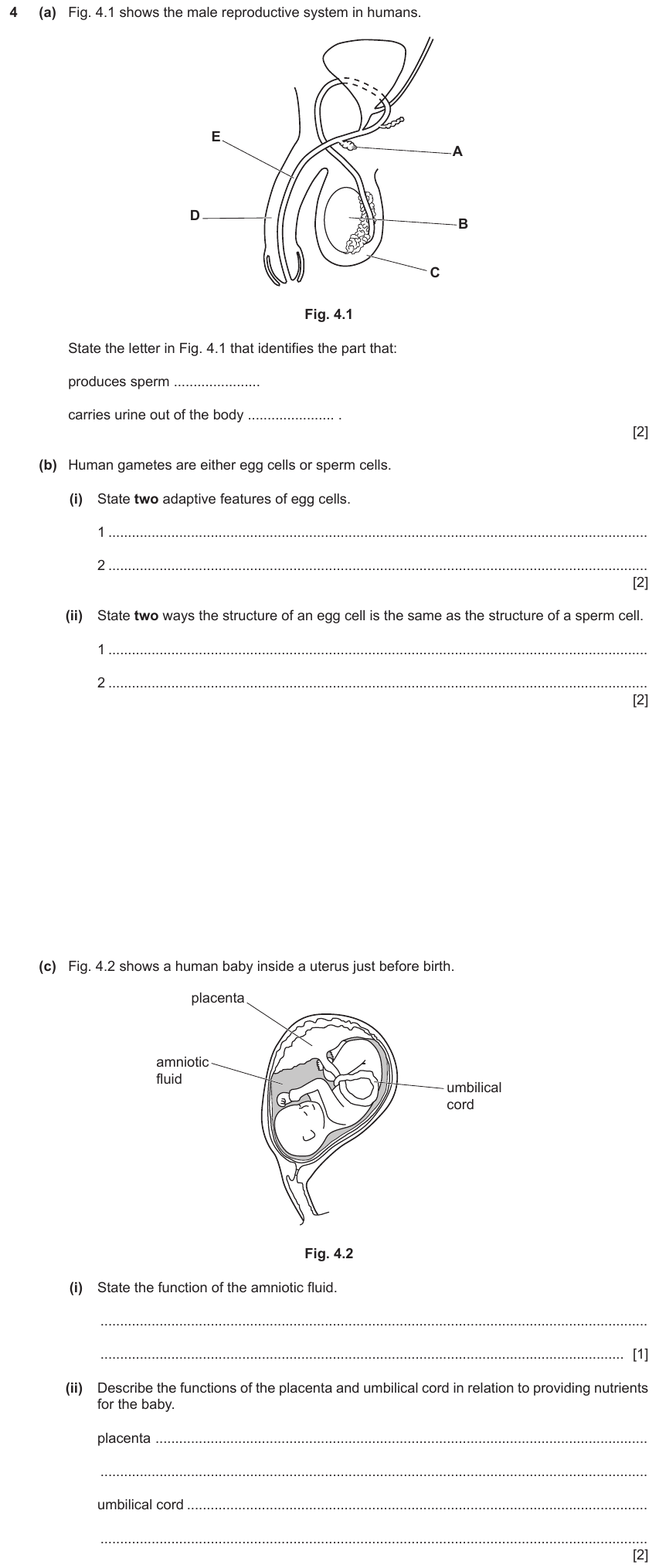 IGCSE 0653 May/Jun 2024 Paper 41 Q4 — Reproduction