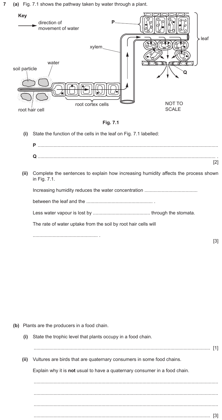 IGCSE 0653 May/Jun 2024 Paper 41 Q7 — Plant Nutrition