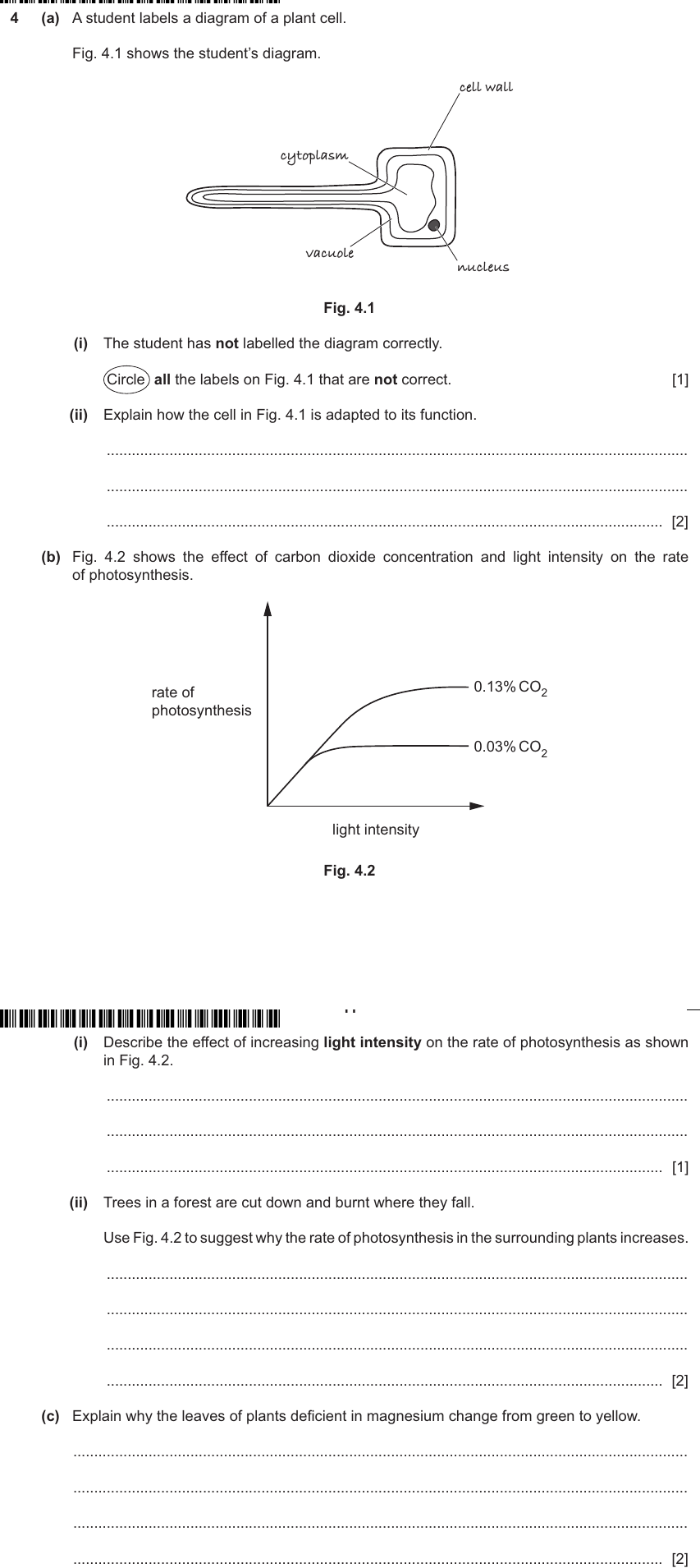 IGCSE 0653 May/Jun 2024 Paper 42 Q4 — Cells & Organisation