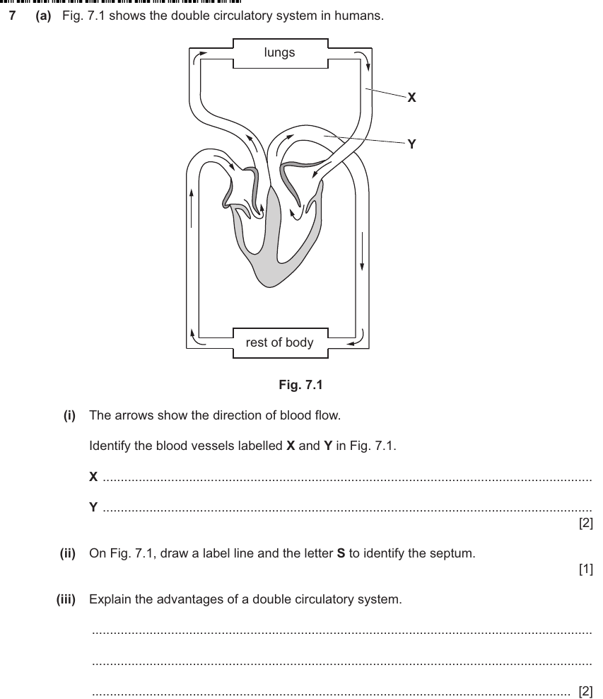 IGCSE 0653 May/Jun 2024 Paper 42 Q7 — Transport in Animals