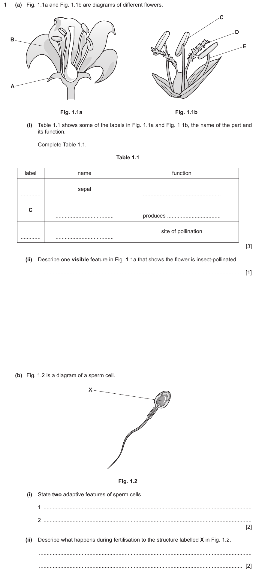 IGCSE 0653 May/Jun 2024 Paper 43 Q1 — Reproduction