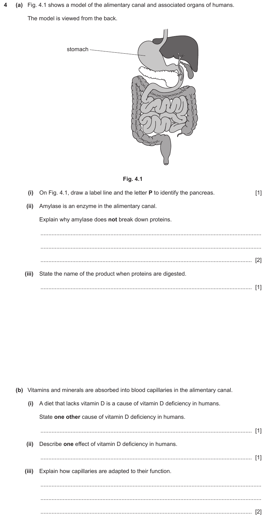 IGCSE 0653 May/Jun 2024 Paper 43 Q4 — Human Nutrition