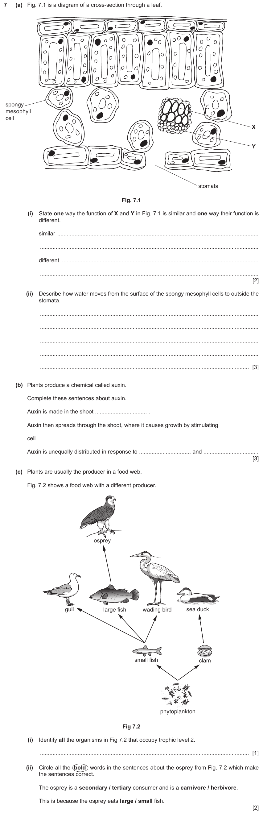IGCSE 0653 May/Jun 2024 Paper 43 Q7 — Coordination & Response
