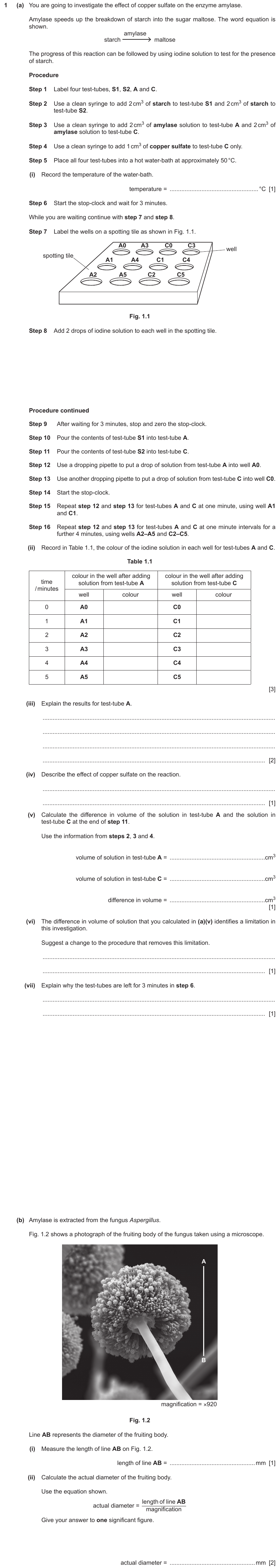 IGCSE 0653 May/Jun 2024 Paper 51 Q1 — Human Nutrition