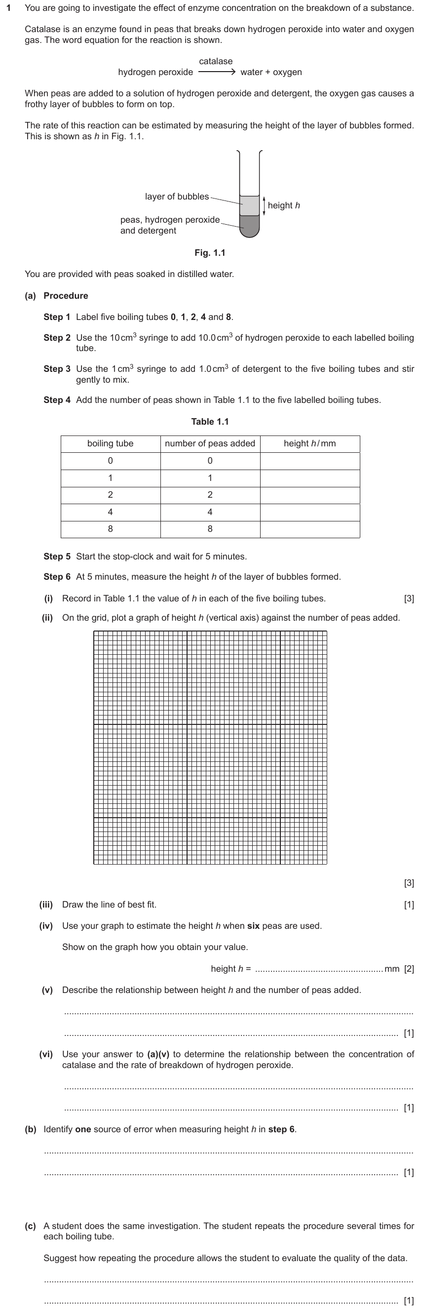 IGCSE 0653 May/Jun 2024 Paper 52 Q1 — Enzymes