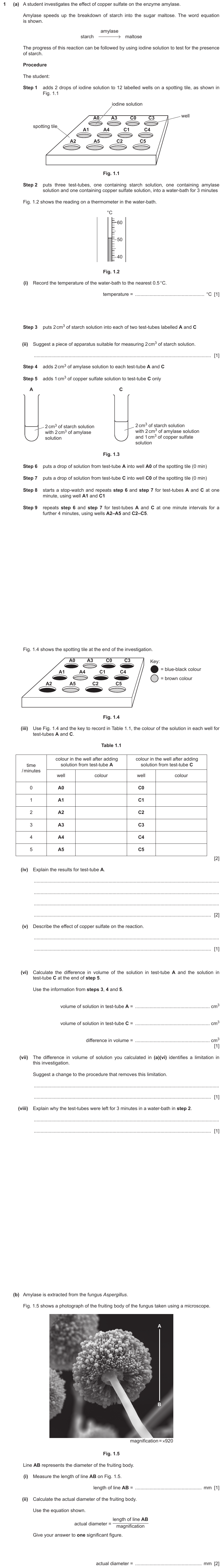 IGCSE 0653 May/Jun 2024 Paper 61 Q1 — Human Nutrition