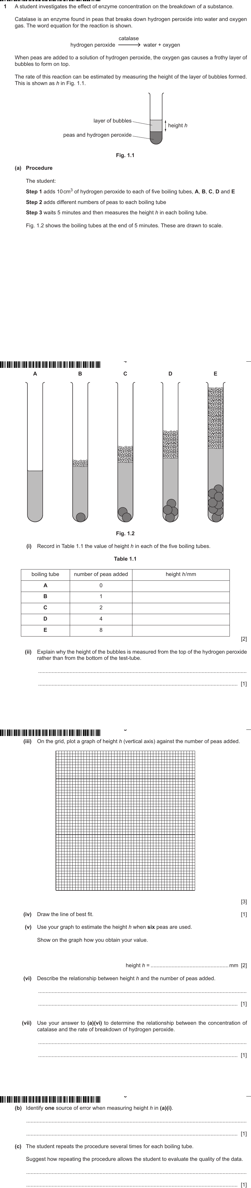 IGCSE 0653 May/Jun 2024 Paper 62 Q1 — Enzymes