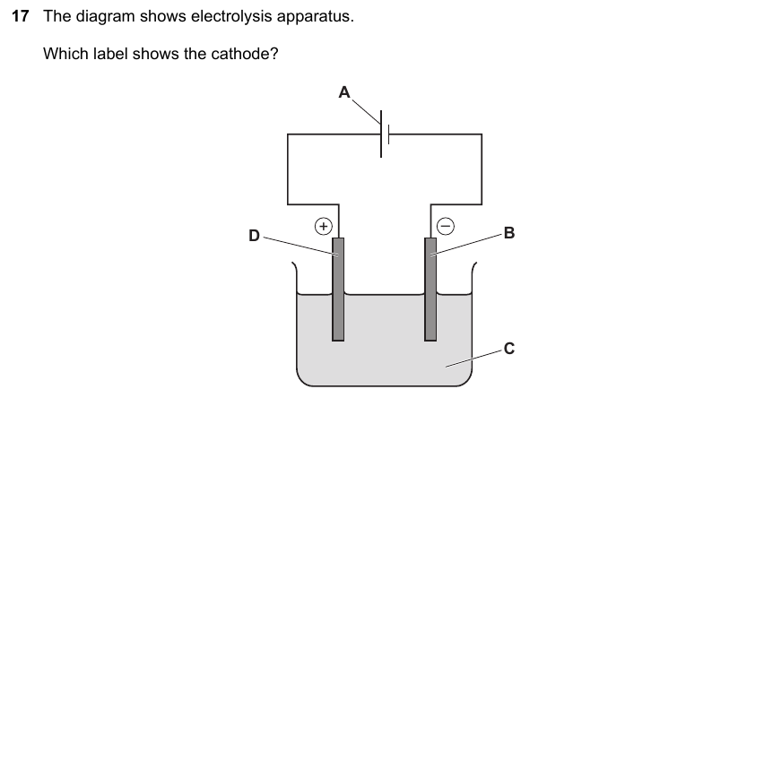 IGCSE 0653 May/Jun 2025 Paper 11 Q17 — Organic Chemistry