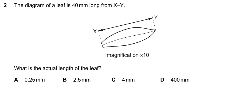 IGCSE 0653 May/Jun 2025 Paper 11 Q2 — Excretion