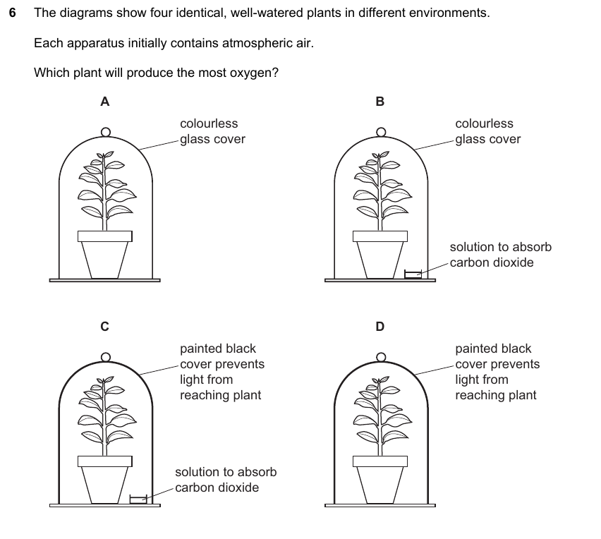 IGCSE 0653 May/Jun 2025 Paper 11 Q6 — Transport in Plants