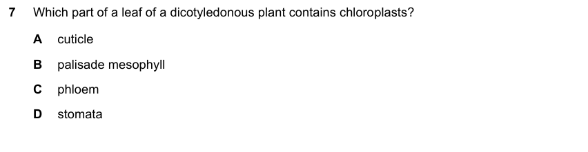 IGCSE 0653 May/Jun 2025 Paper 11 Q7 — Transport in Plants