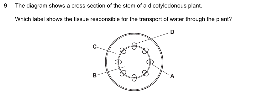 IGCSE 0653 May/Jun 2025 Paper 11 Q9 — Reproduction