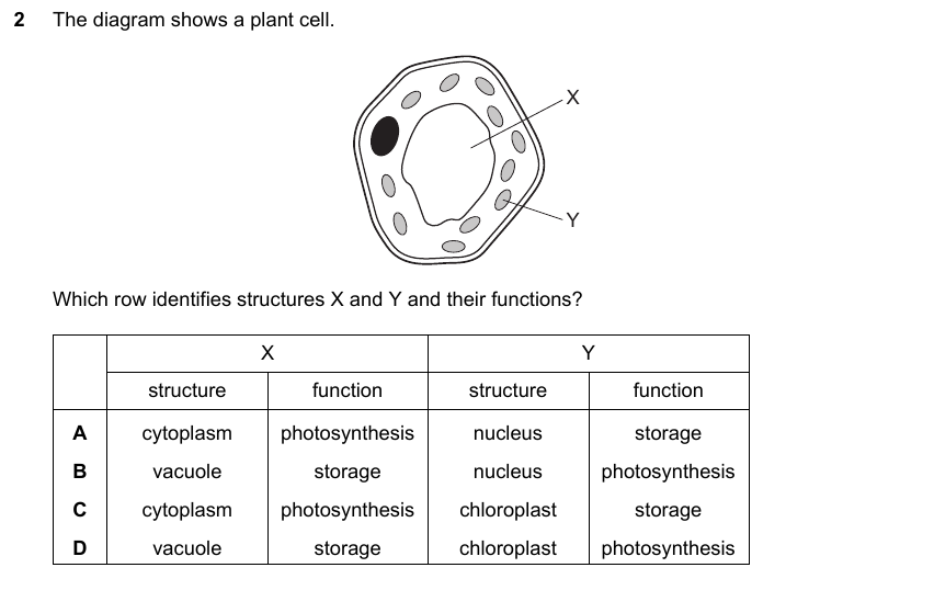 IGCSE 0653 May/Jun 2025 Paper 12 Q2 — Excretion