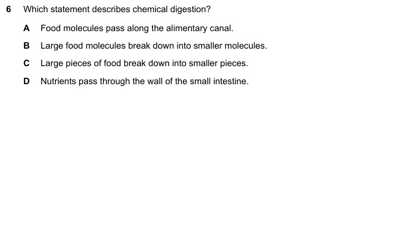 IGCSE 0653 May/Jun 2025 Paper 12 Q6 — Transport in Plants