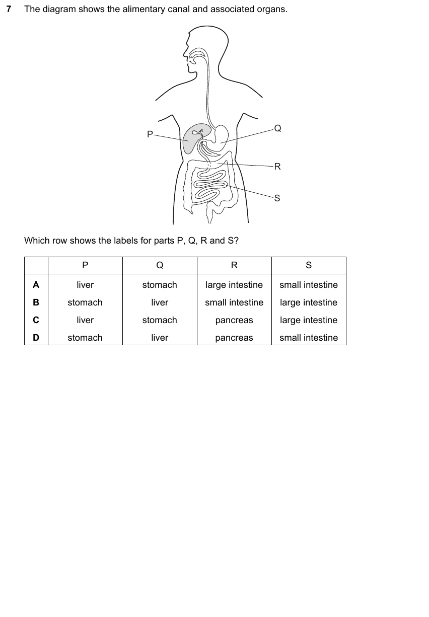 IGCSE 0653 May/Jun 2025 Paper 12 Q7 — Reproduction